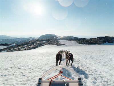 View of the sled from the driver