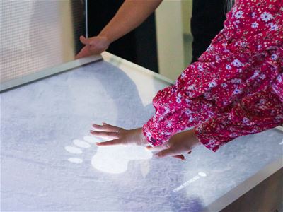 Visitors taking a part in a interactive part of the exhibition