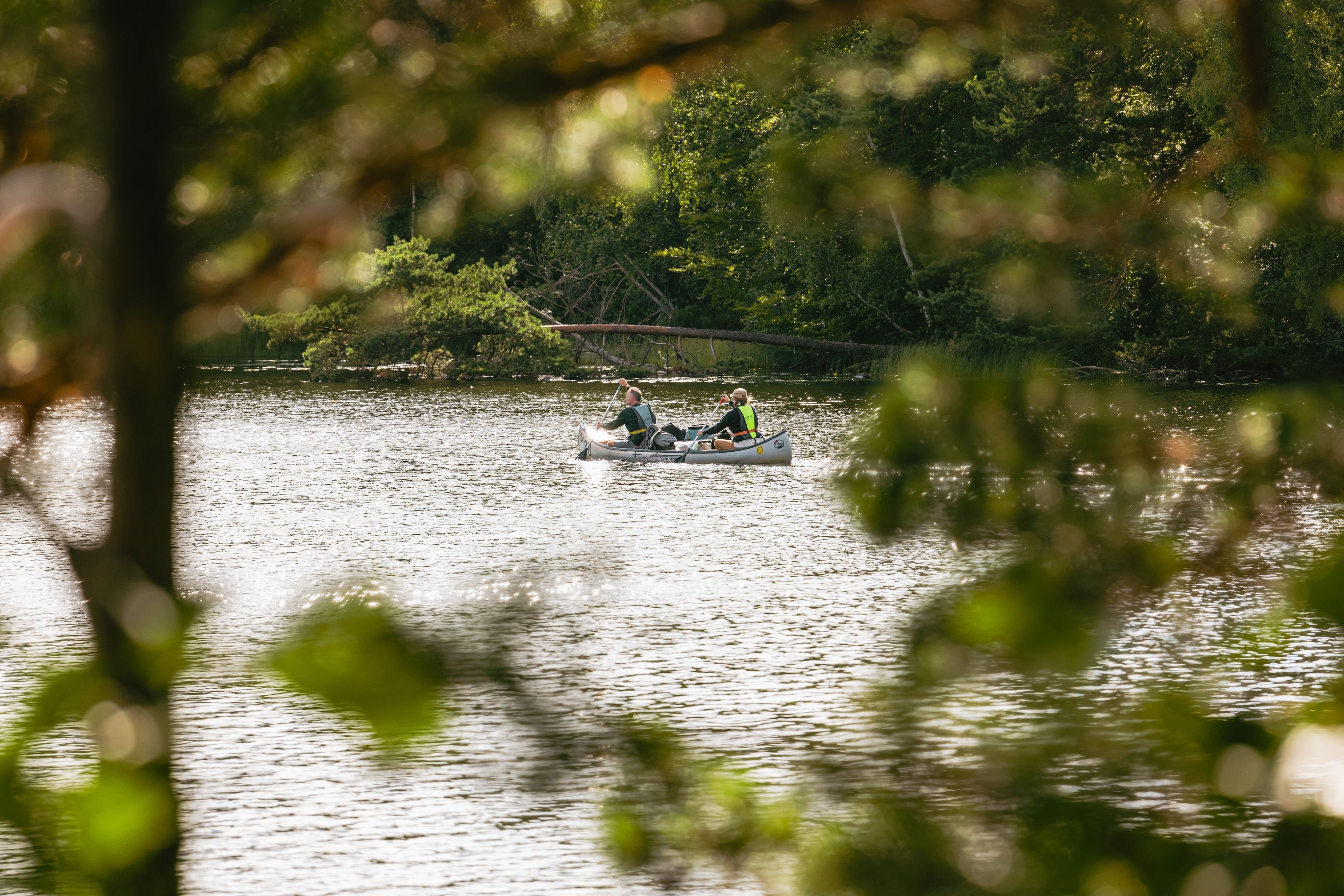 Halens Camping och Stugby 
