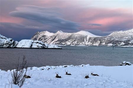 View of the fjord from the accommodation