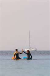 cbis:1980636-9