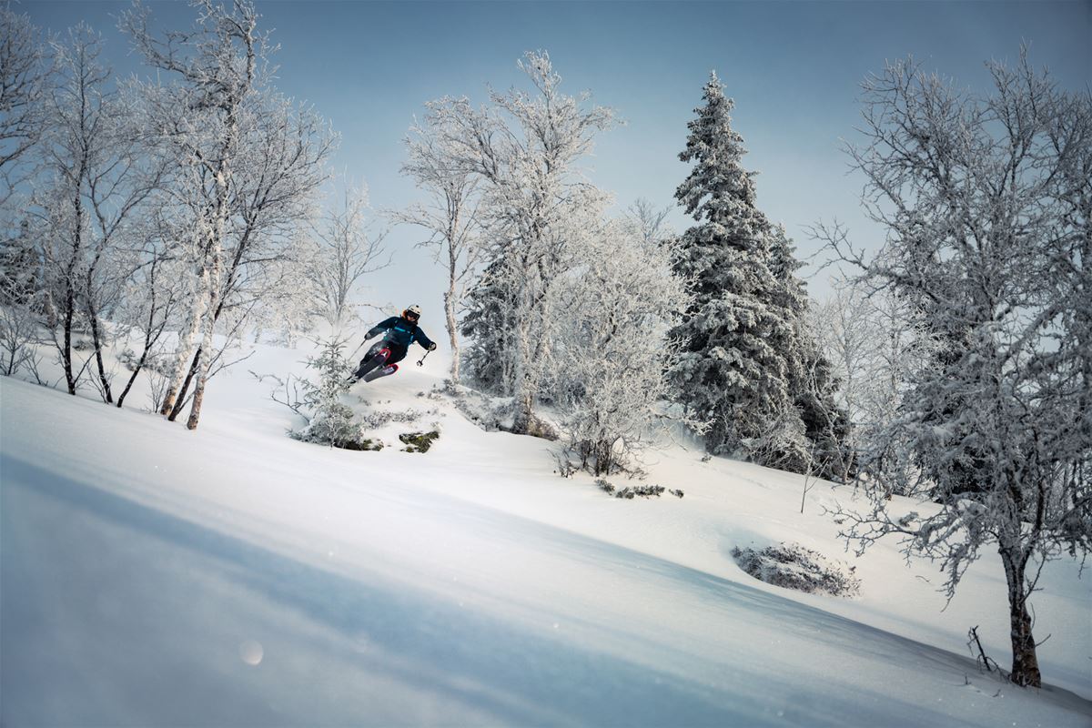 Studentpakka image 1