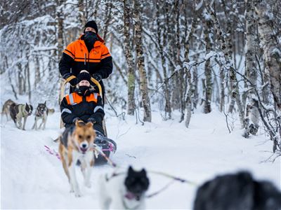 Gjester kjører slede