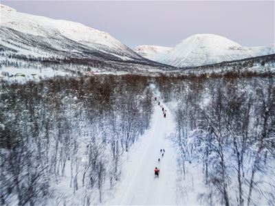 Aerial view of the dog sledding track through the forest and mountains of Tamokdalen