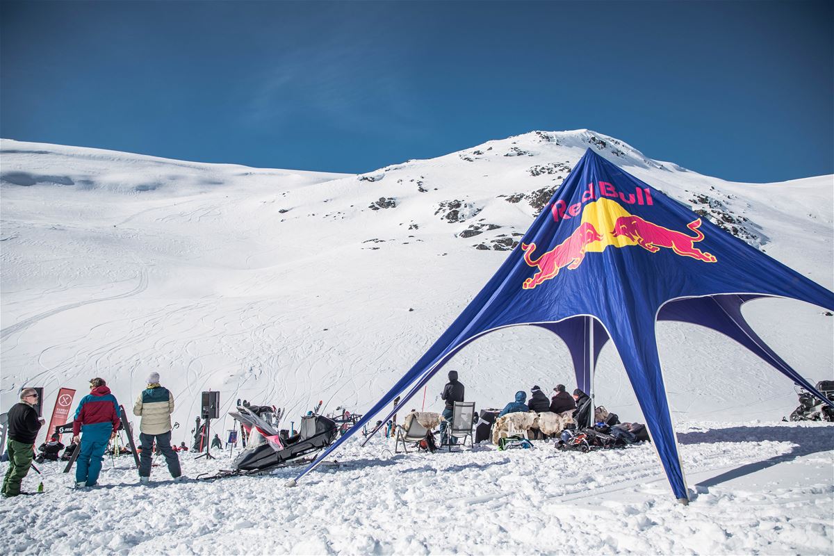 Ride The Cow  image 1