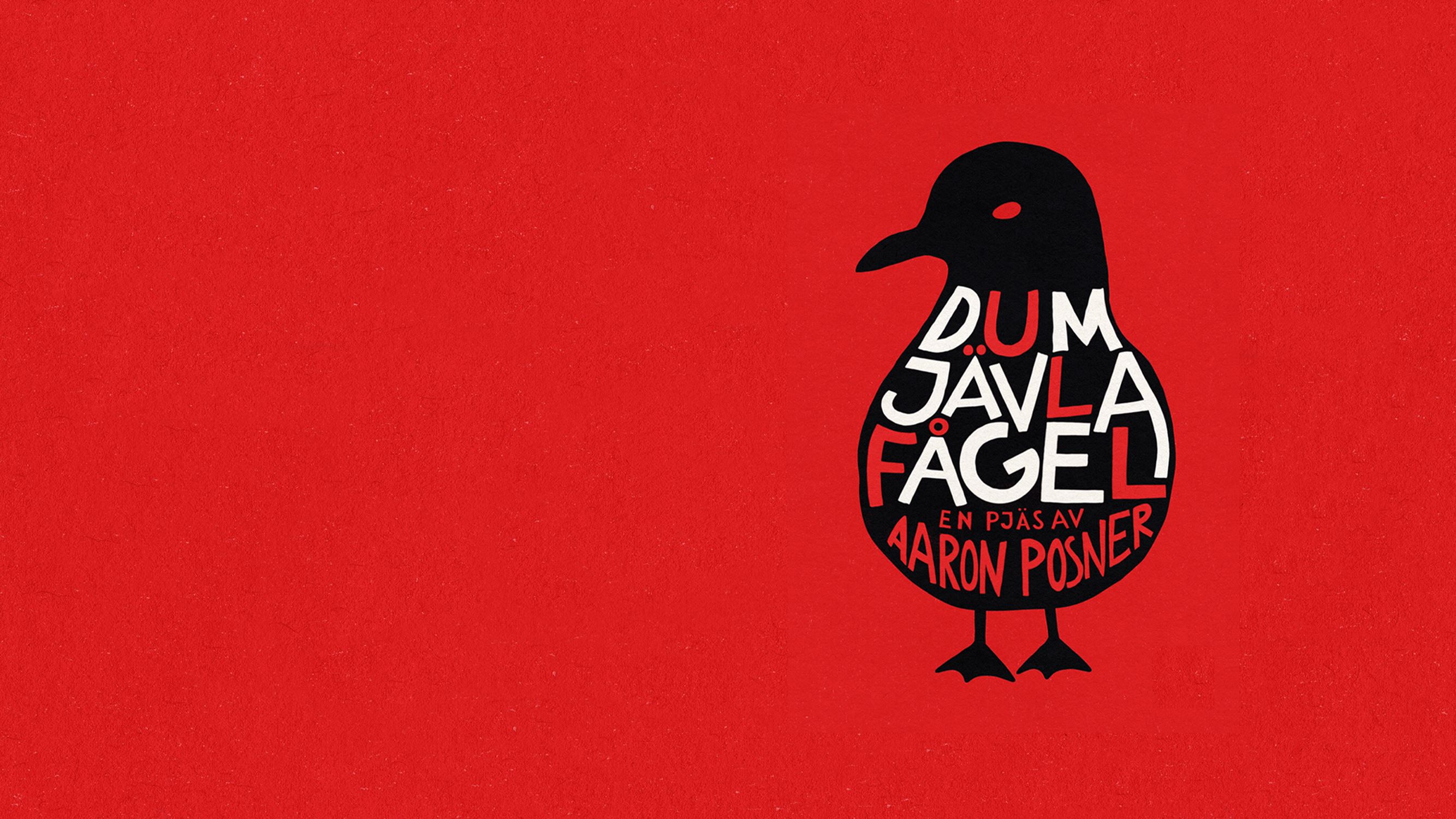 Dum jävla fågel - Öppen repetition