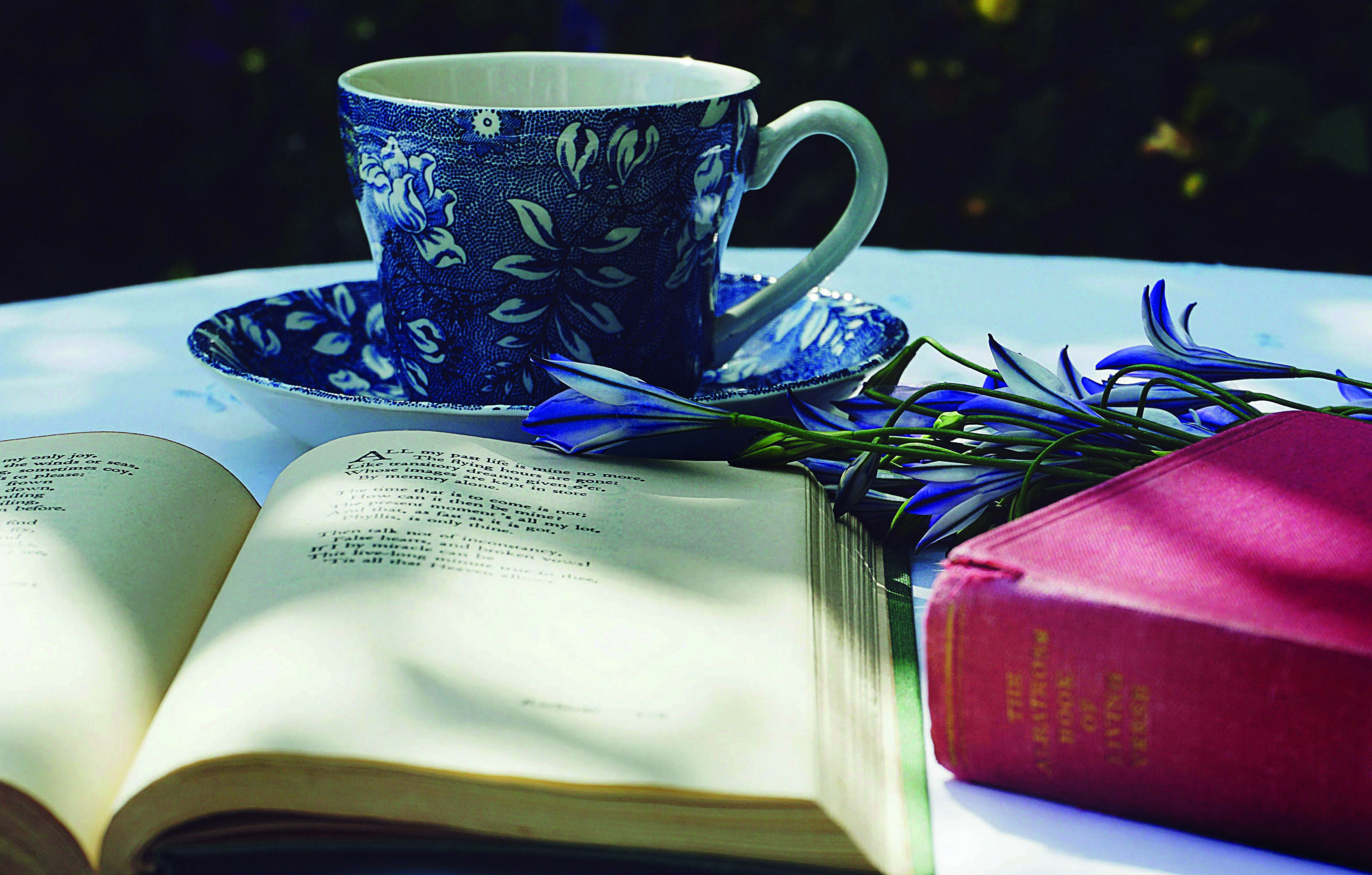 Bokcirkel på Stenbacka bibliotek