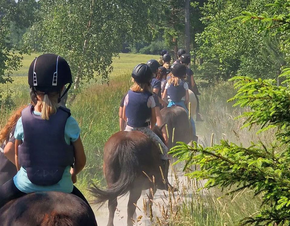 Ponnytur i skogen
