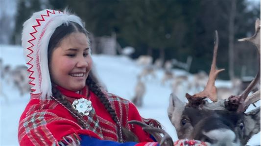 A Sami person feeding reindeer