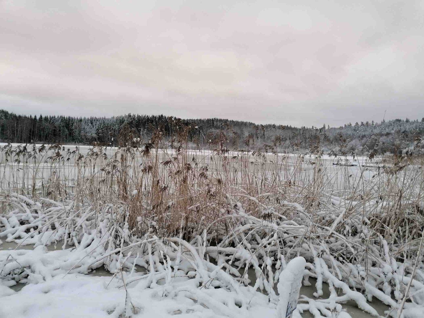 STF Mjölby Vandrarhem