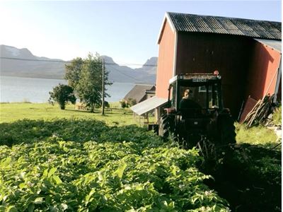 A tractor driving at the farm during summer