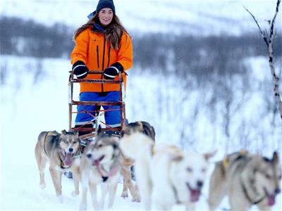 A guest drives the dogs and sled