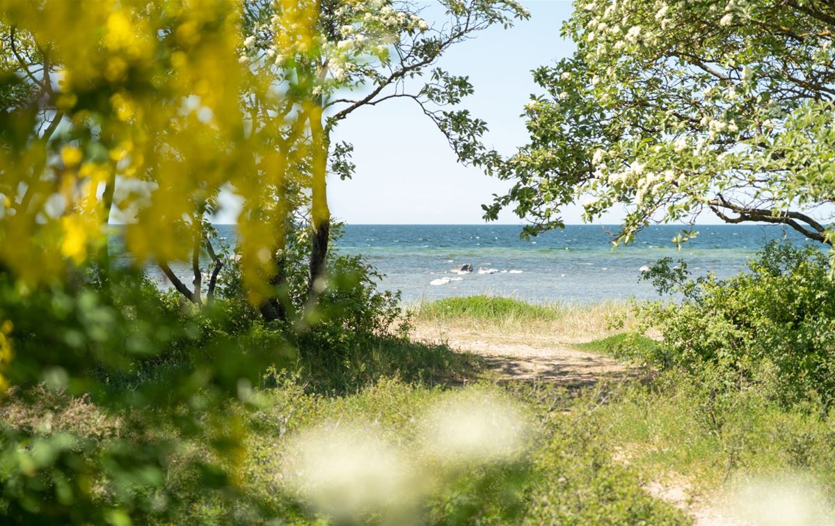 Camping-Pakete image 1