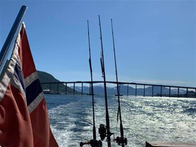 Bilde av Tromsøbrua fra bak på båten