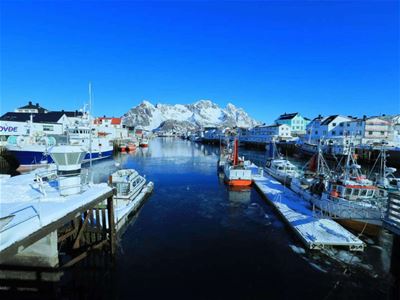 Utsikt over en kai og mange båter