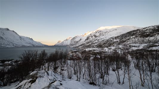 Snowcovered landscape and a fjord