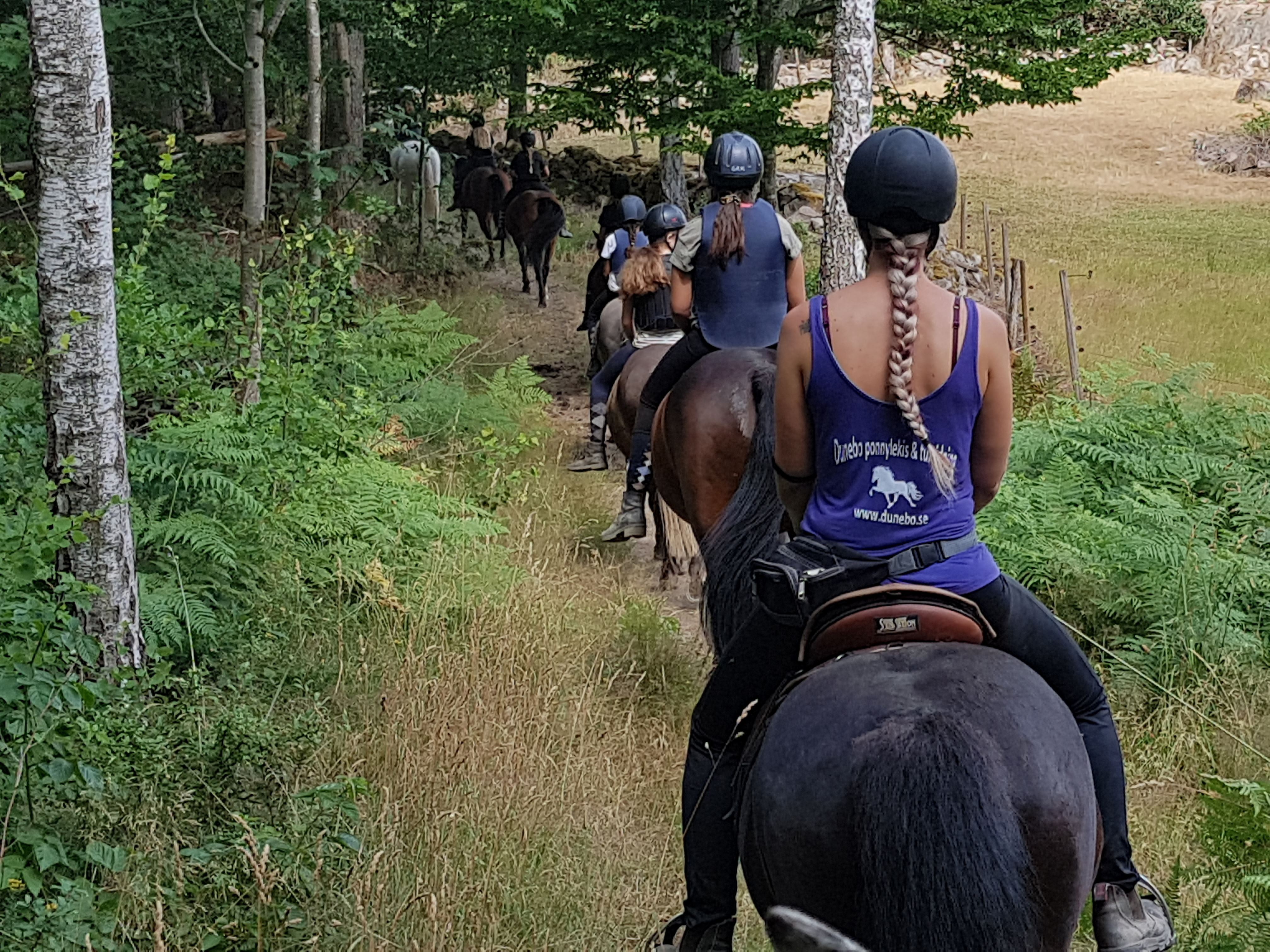 Ridning - sommarläger