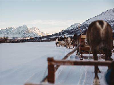 Reinsdyrslede med fjell i bakgrunn