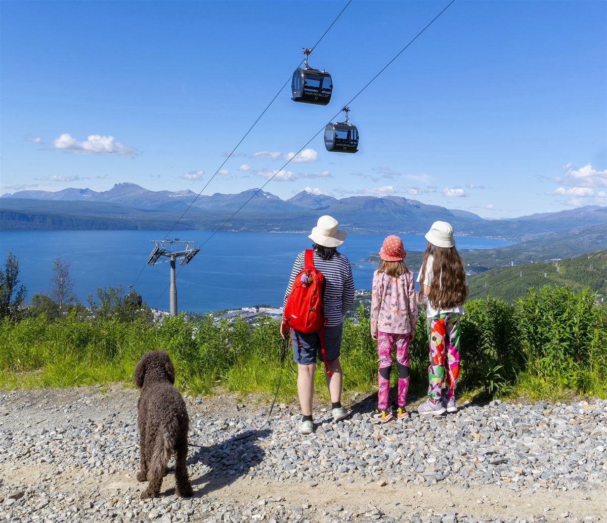 Gondol | En vei image 1