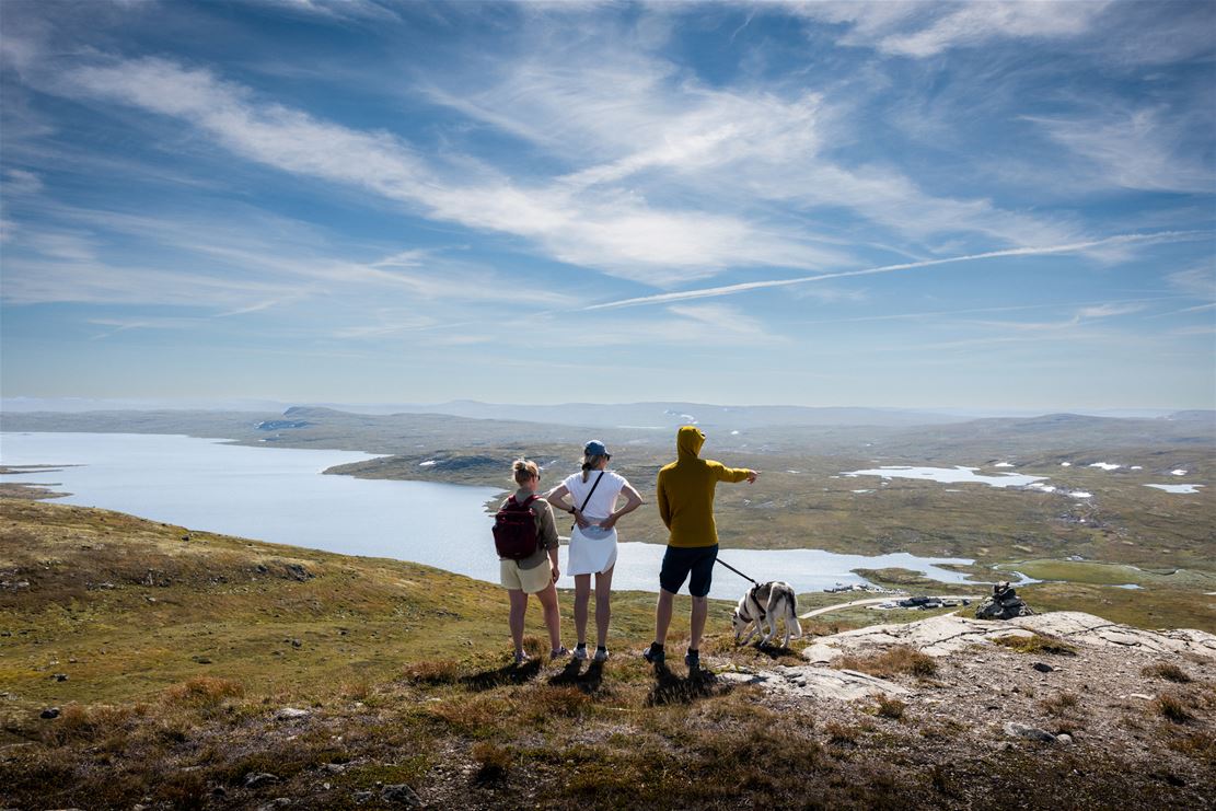 Utsikt over Hardangervidda