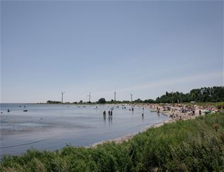 cbis:1253126-6
