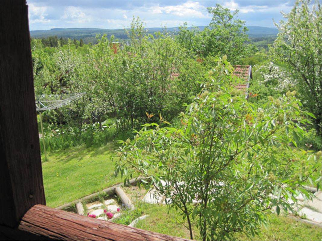 Utsikt från altanen över trädgården.