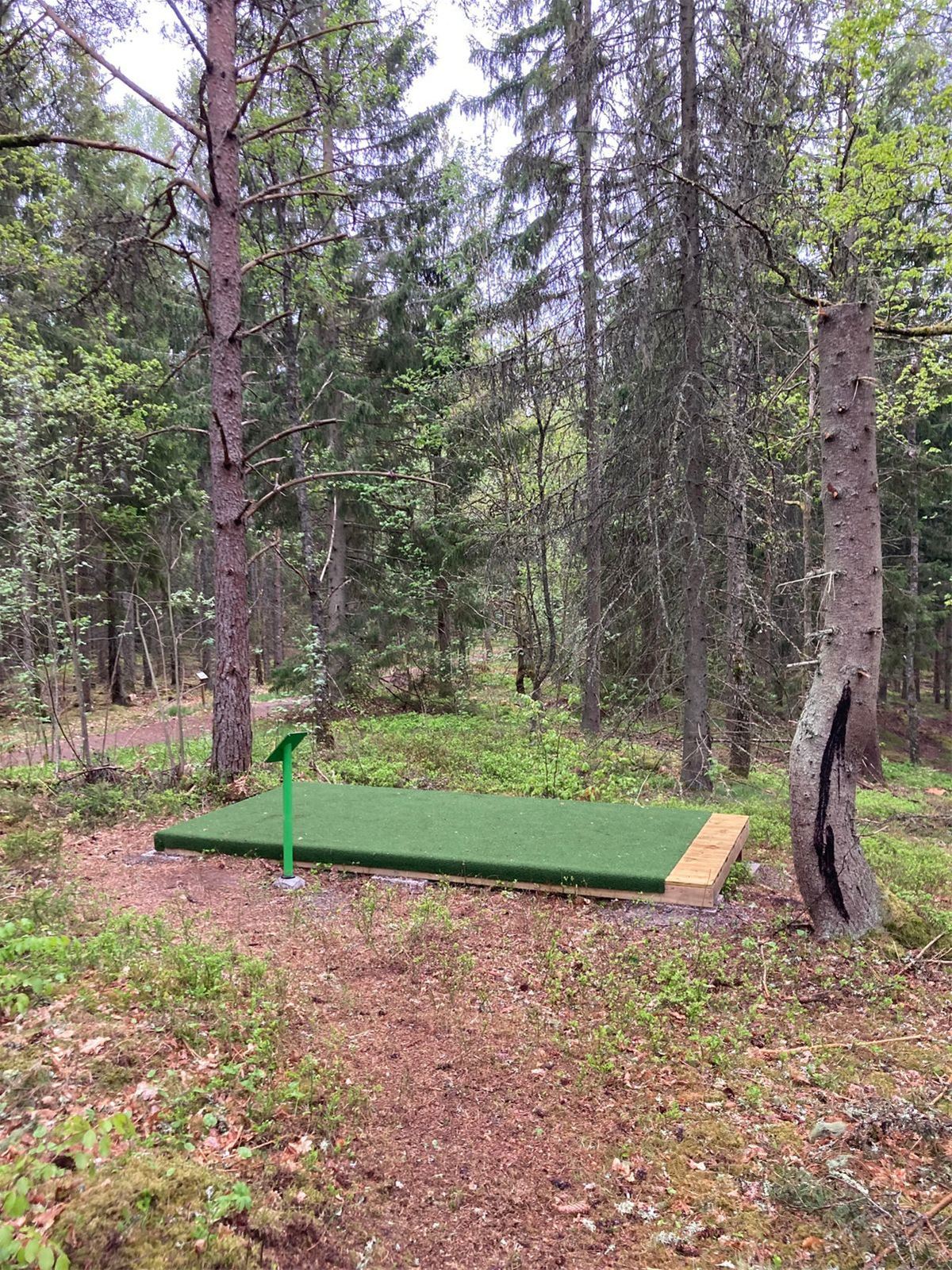 Discgolfbana i Moheda image 1