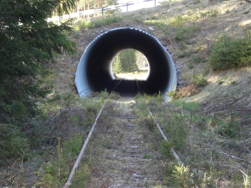 En tunnel som spåret går igenom.