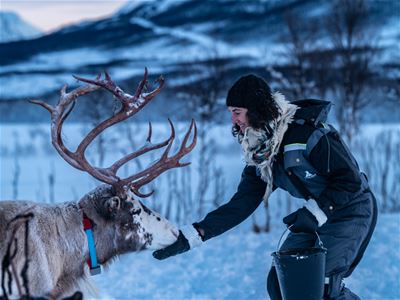 Person mater rein i snødekt landskap med fjell i bakgrunnen.