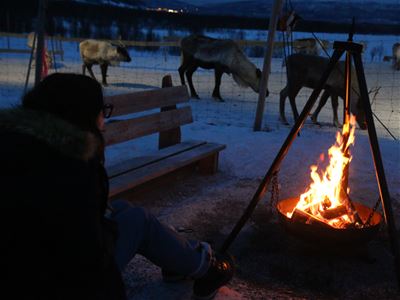Person ved bålplass med reinsdyr i snødekt landskap.