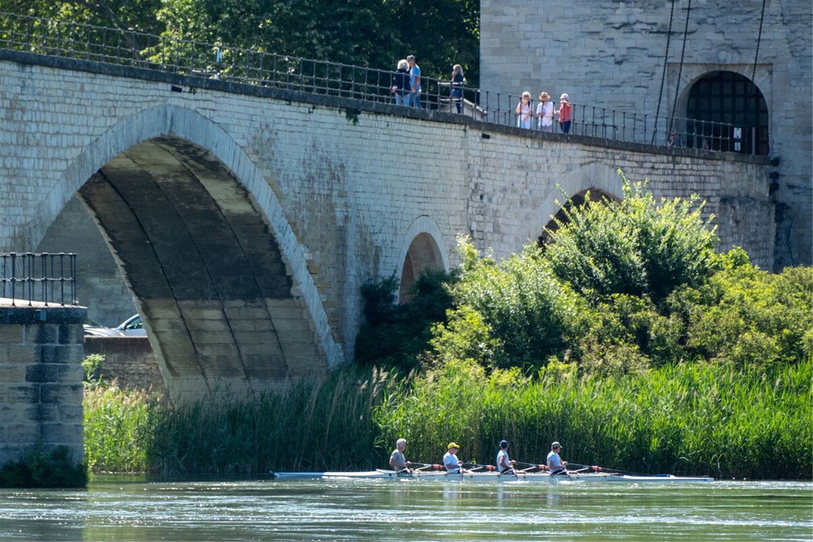 Avignon