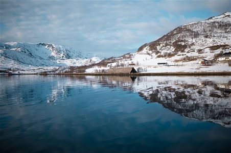 Utsikt av fjorden med forbi passerende buss