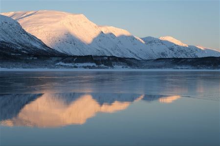 Utsikt av fjorden og snødekte fjell