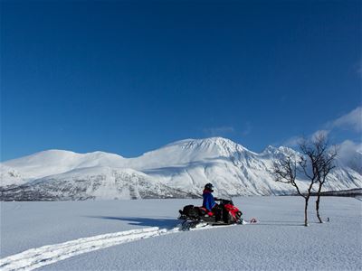 A person driving a snowmobile