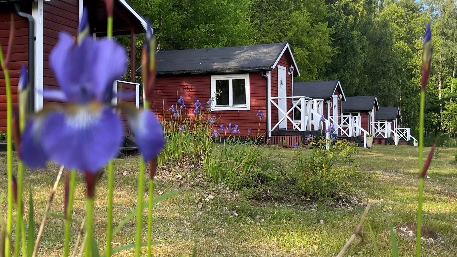 Ljungby Camping