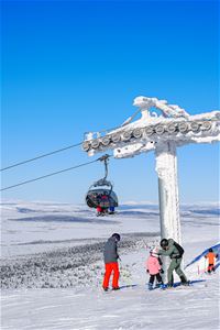 cbis:2121258-3