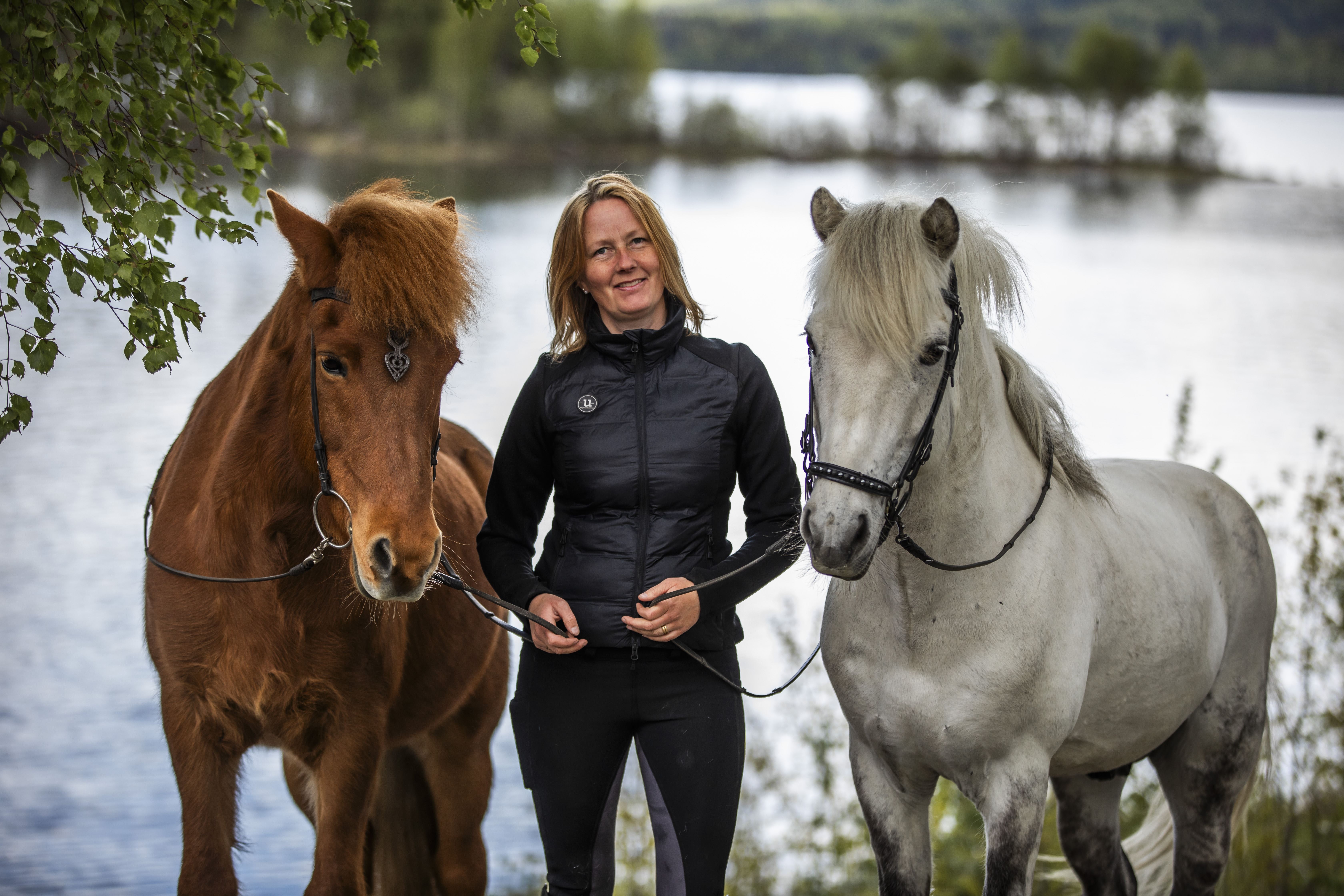 Rid islandshäst - Storskogens hästturer: Halls gård