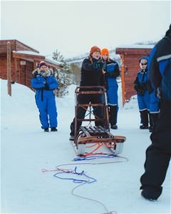Guests learn how to drive the dog sled