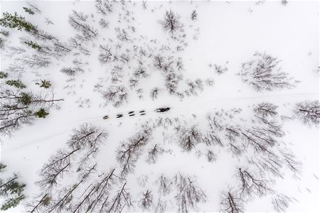 Aerial photo of the dog sled, its surroundings and the forest