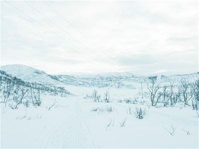 cbis:2670770-4