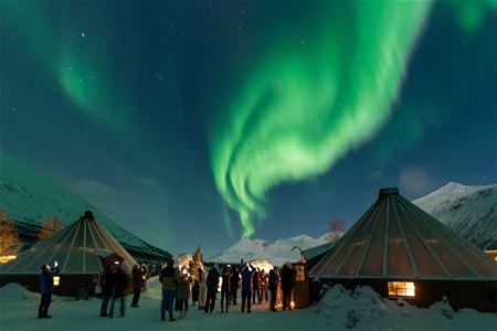 Nordlyset over campen