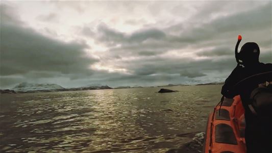 A person looking at the sea