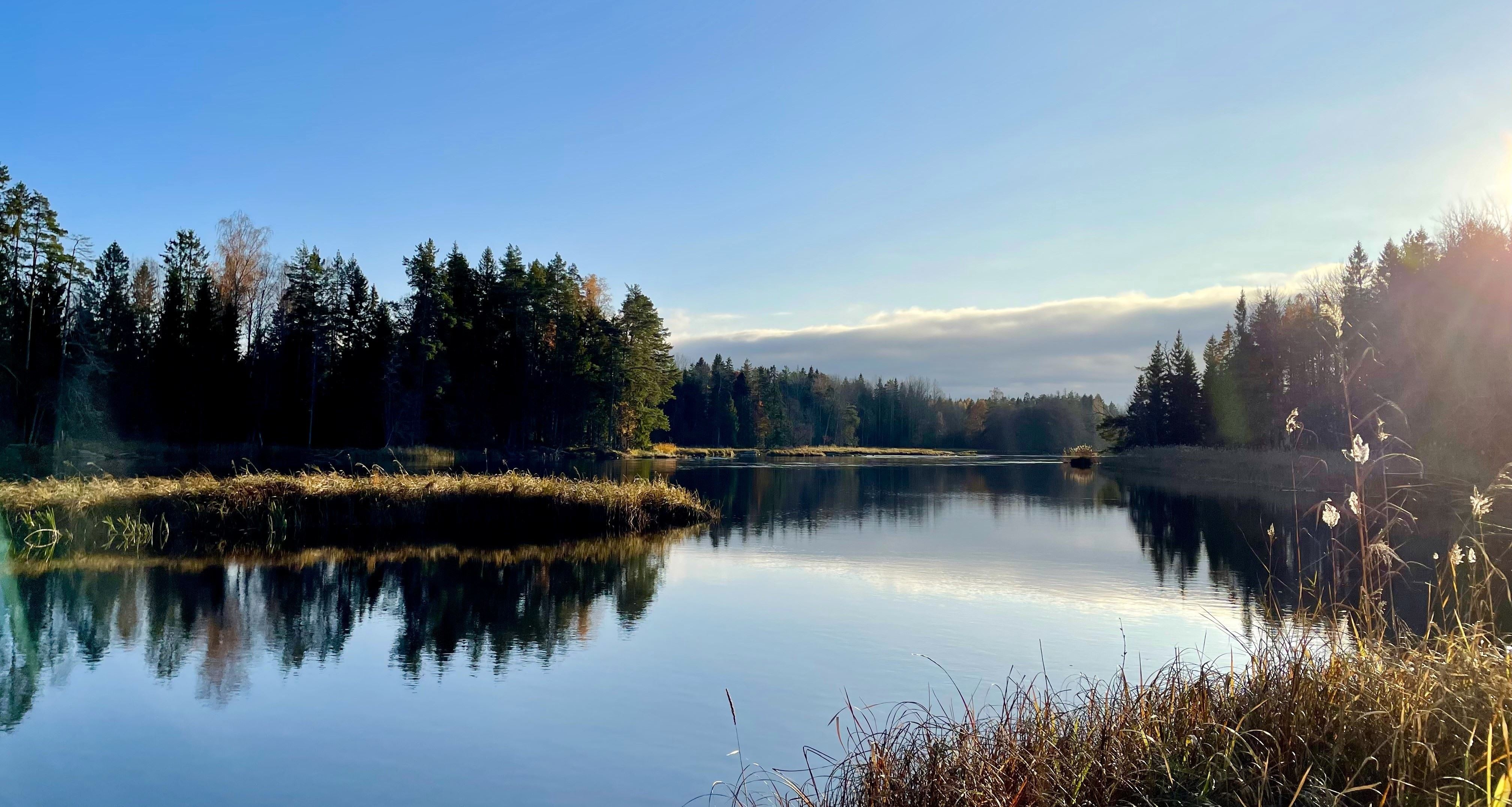 Vandring och fika vid Dalälven - Vandringens dag