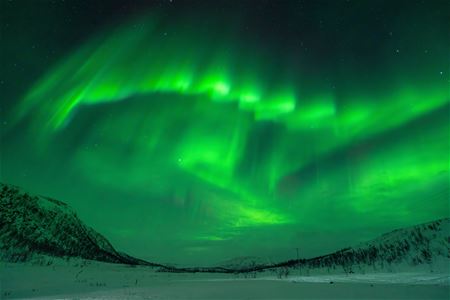 Green Northern Lights
