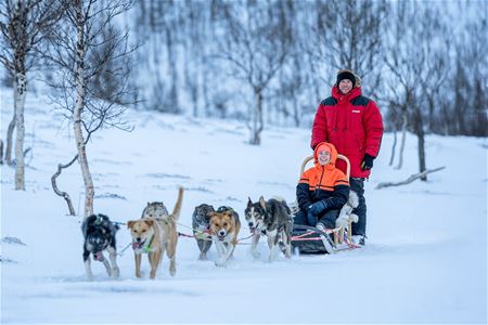 Gjester fører hundeslede