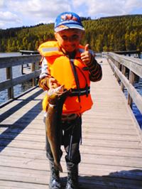 Järvsö Fiskevårdsförening