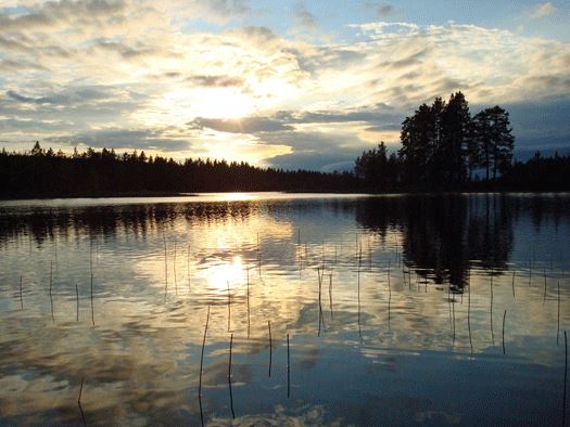 Övre Voxnan naturvårdsområde