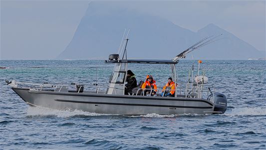 Båten