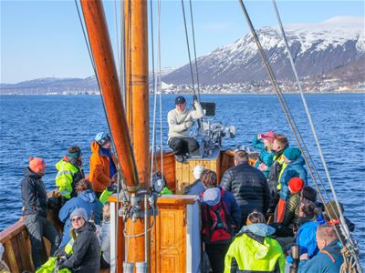 Guide talking to guests