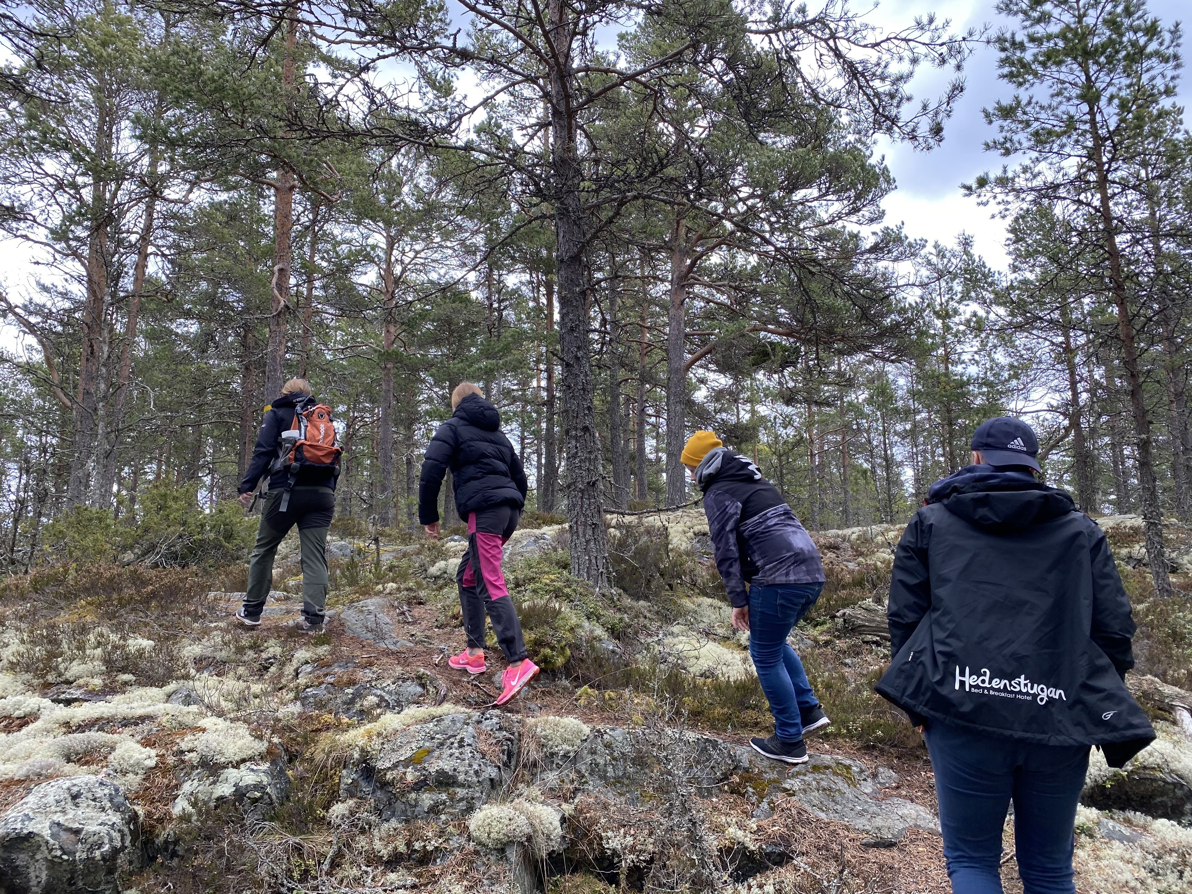 Vandringspaket Hedenstugan B&B Hotell